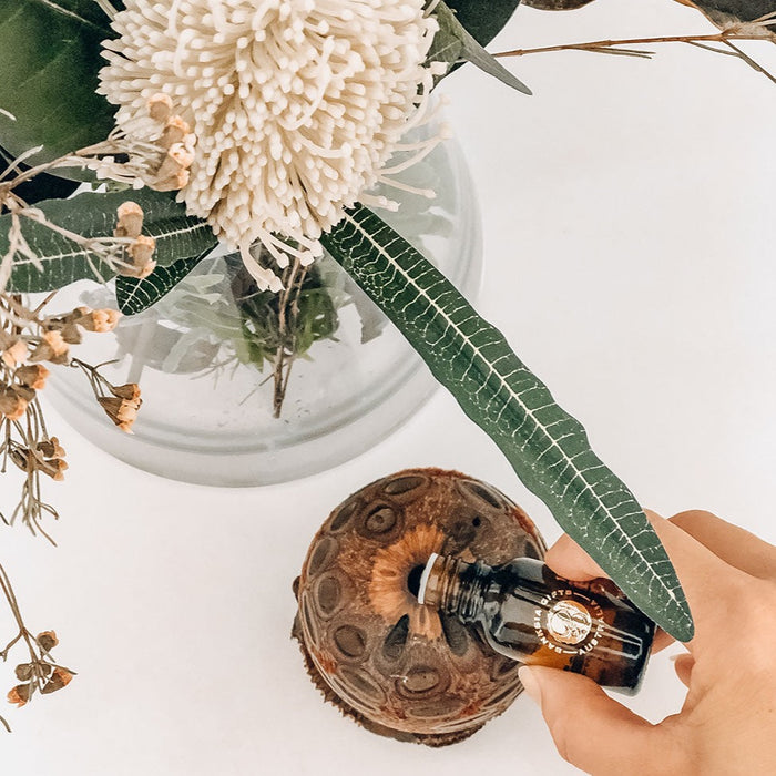 100% Pure Australian Eucalyptus Essential oil smells amazing diffusing through our Banksia natural Aroma Diffusers