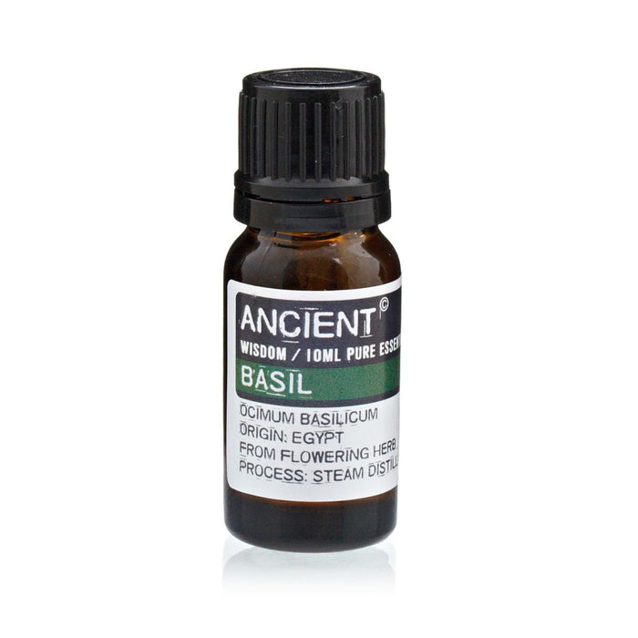 Basil Pure Essential Oil – Ocimum Basilicum – 10ml - Ettovi Candle Company