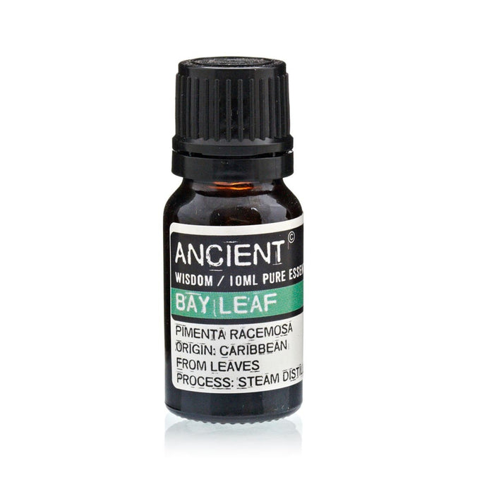 Bay Leaf Pure Essential Oil – Pimenta Racemosa – 10ml - Ettovi Candle Company