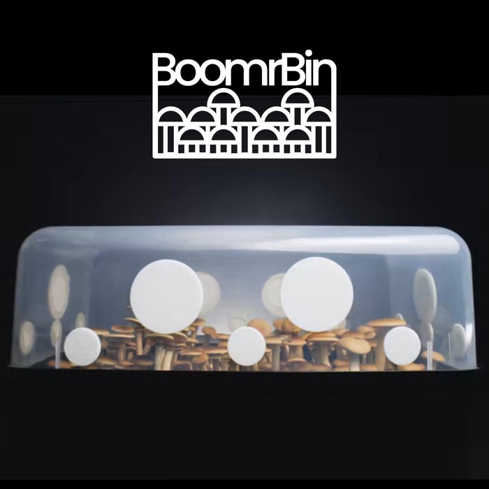 'Boomr Bin' Monotub Mushroom Grow Kit