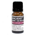 Bulgarian Lavender Pure Essential Oil – Lavendula Angustifolia – 10ml - Ettovi Candle Company