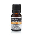 Carrot Seed Pure Essential Oil – Daucus Carota Sativa – 10ml - Ettovi Candle Company