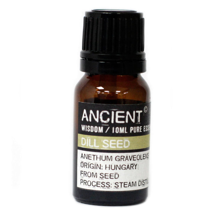 Dill Seed Pure Essential Oil – Anethum Graveolens – 10ml - Ettovi Candle Company
