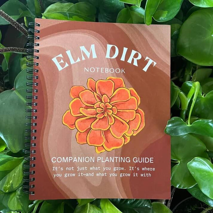 Elm Dirt Notebook - Elm Dirt -
