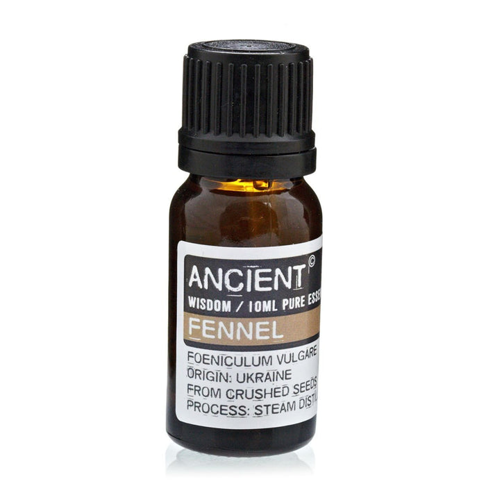 Fennel Pure Essential Oil – Foeniculum Vulgare – 10ml - Ettovi Candle Company