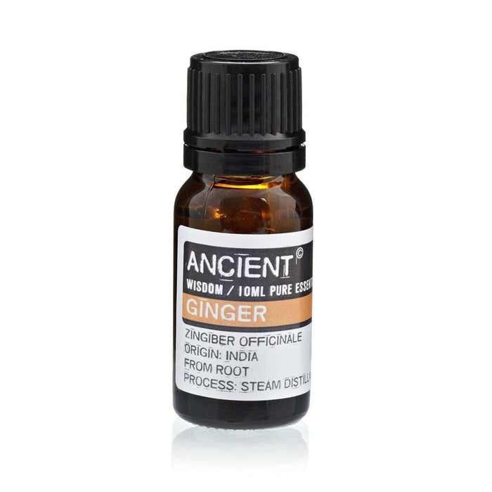 Ginger Pure Essential Oil – Zingiber Officinale – 10ml - Ettovi Candle Company
