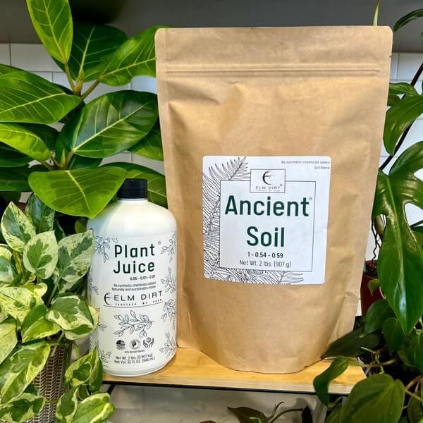 Grow Power Bundle - Elm Dirt -
