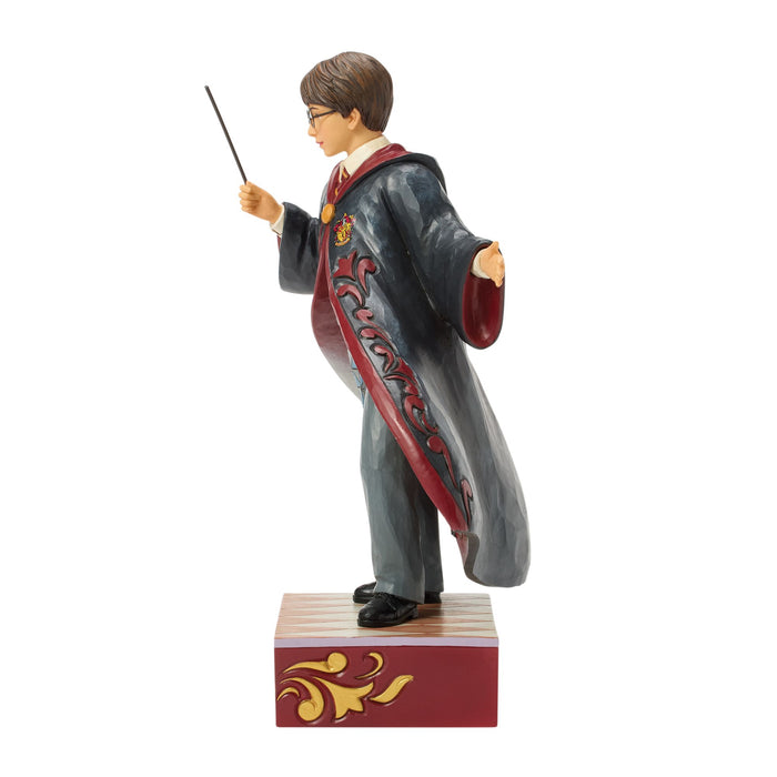 Harry Potter Magical Moment