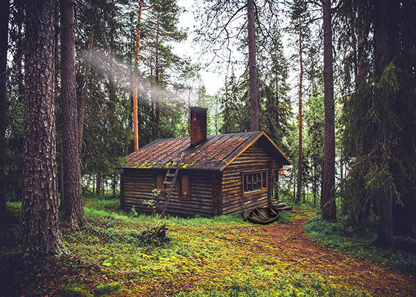 Hoffman Fabrics W5436-617 Off The Grid Cabin #21