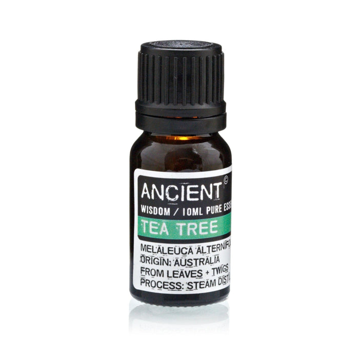 Lavender, Tea Tree & Rosemary Essential Oil Trio – 10ml - Ettovi Candle Company