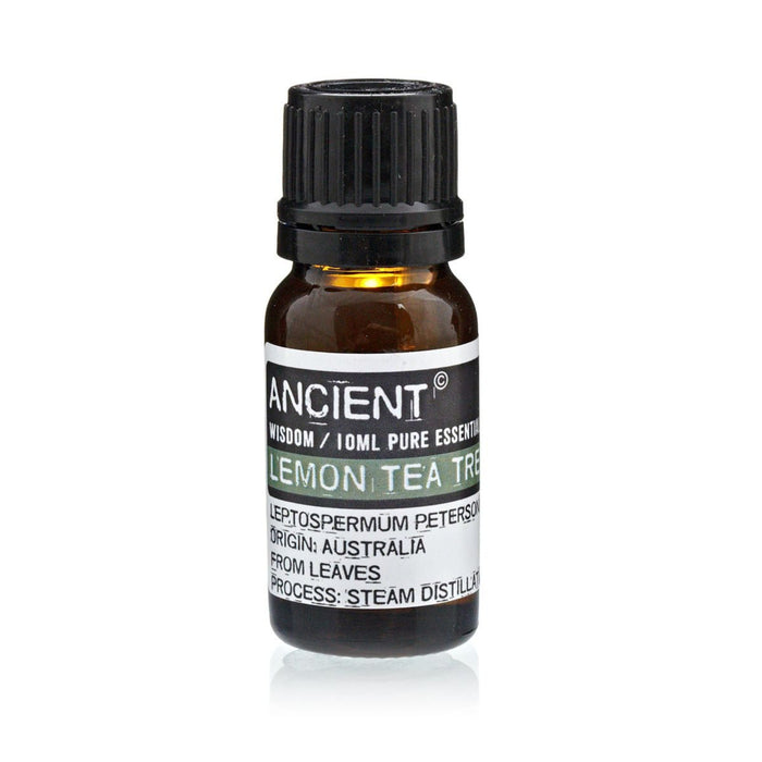 Lemon Tea Tree Pure Essential Oil – Leptospermum Petersonii – 10ml - Ettovi Candle Company