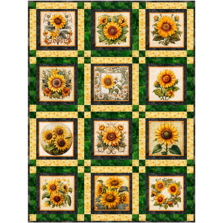 QT Sunflower Serenade Angel Face