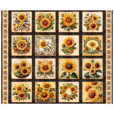 QT Sunflower Serenade Angel Face