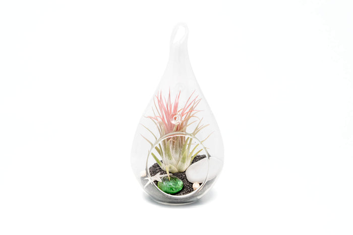 Set of 3 Teardrop Beach Terrariums with Black Sand