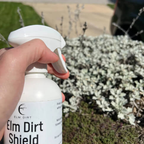 Elm Dirt's Shield, All Natural Pesticide - Elm Dirt -