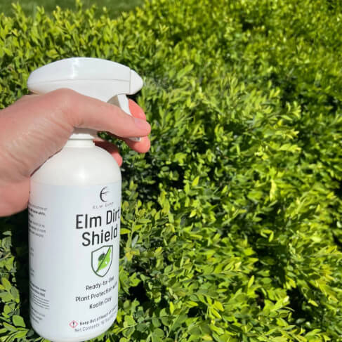Elm Dirt's Shield, All Natural Pesticide - Elm Dirt -