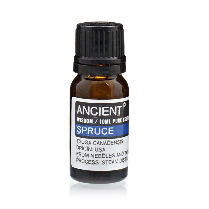 Spruce Pure Essential Oil – Tsuga Canadensis – 10ml - Ettovi Candle Company
