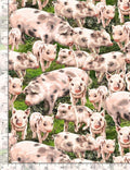 Timeless Treasures Tossed Pigs by Dona Gelsinger