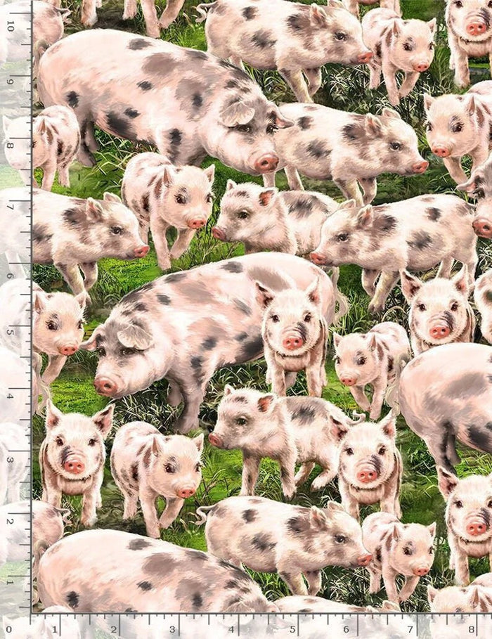 Timeless Treasures Tossed Pigs by Dona Gelsinger